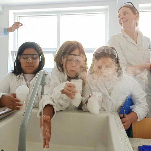 Primary students explore Science in the Lab
