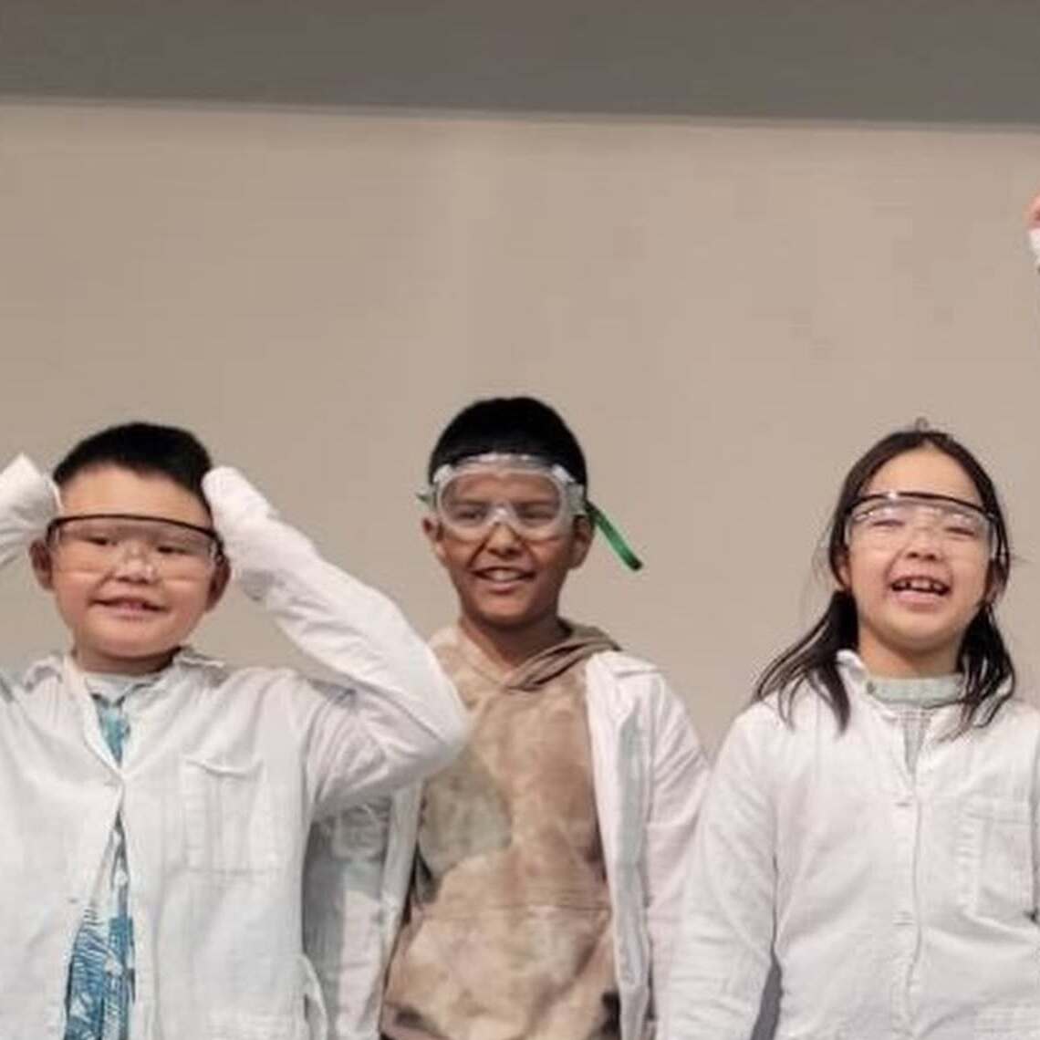 Summative shares - Science!